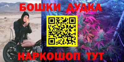 Альфа ПВП Ачхой-Мартан