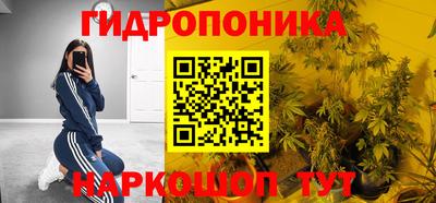 Альфа ПВП Ачхой-Мартан