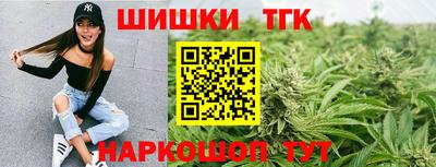 Альфа ПВП Ачхой-Мартан